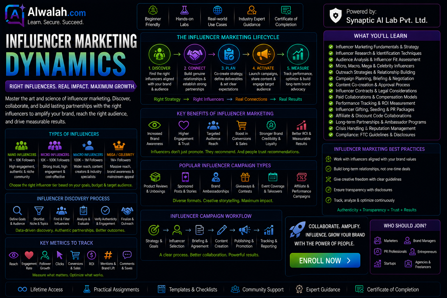Influencer Marketing Dynamics